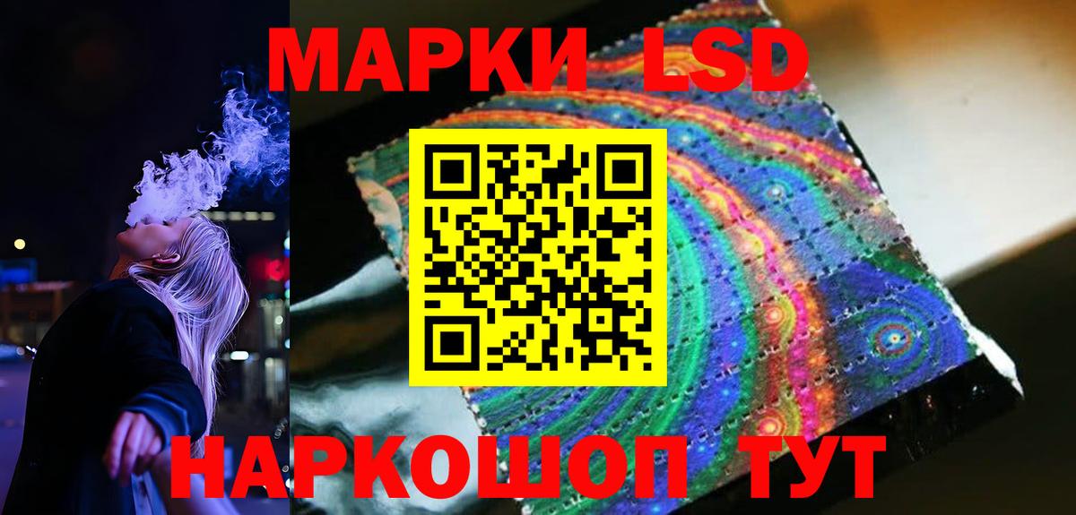 APVP Тамбов