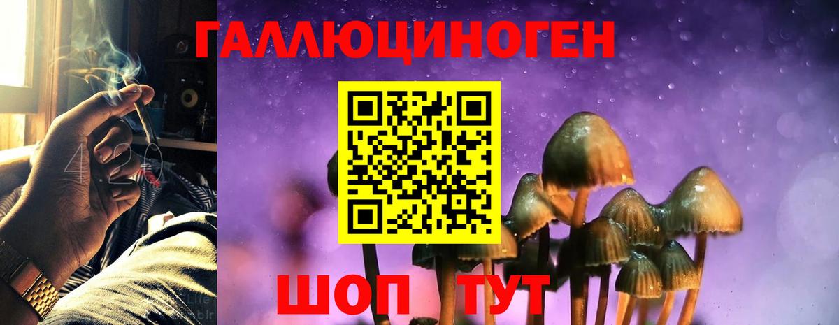 Псилоцибиновые грибы Magic Shrooms Тамбов